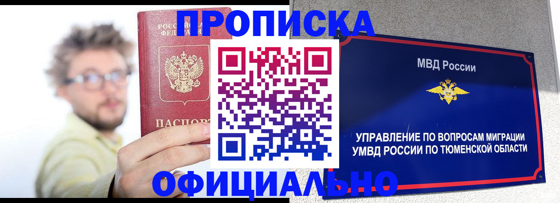 прописка поиск в Железногорске